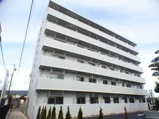 サンライズコードの画像