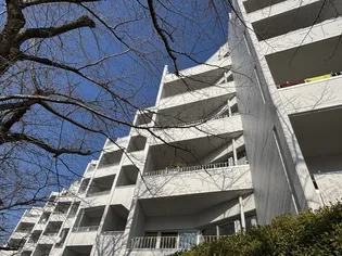 桜台ビレッジ3Bの画像