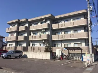 クラブアップルの画像