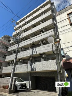 ファインエクセレンスの画像