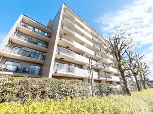 ZELKOVA COOPERASの画像