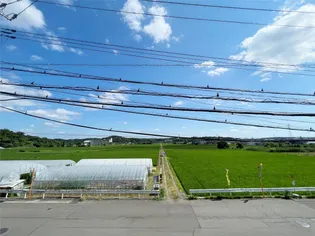 タウニィ松崎【2階】のその他画像