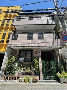 ペールウィの画像