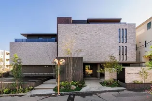 ステラ キャシェットの画像