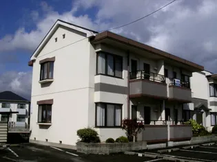 ハウス藤井【2階】の外観