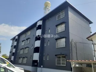 興津ハイツ(オキツハイツ)【3階】の外観