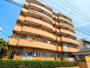 スカイマンション藤の画像