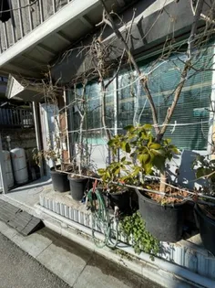 第6藤栄ビルの画像