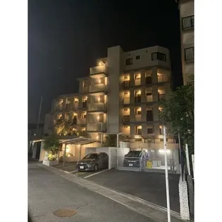 CIERO WISTERIAの画像