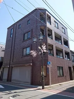 パピヨンの画像