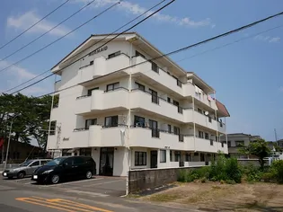 マーメイドの画像