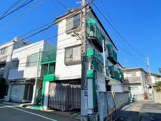 グリーンリーフの画像