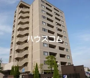 アクシス香蘭の画像