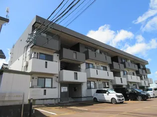 グランディール親和L3【3階】の外観