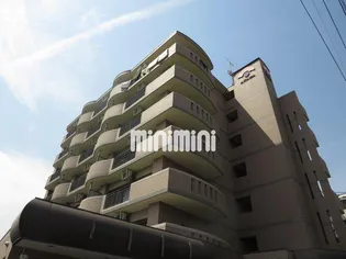 セントレアカマIIIの画像