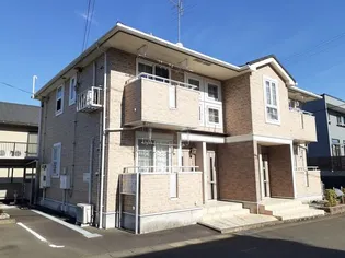 ファレノプシス IIの画像