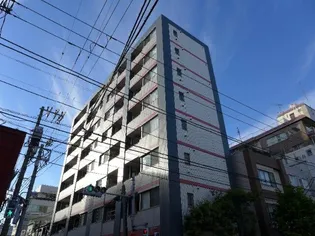 ラヴィンの画像