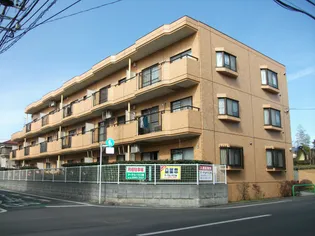 サンハイネスエースの画像