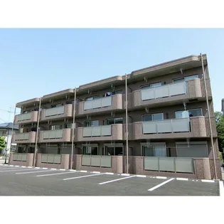 Y&M 彩の画像