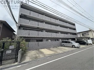 カサソレアードの画像