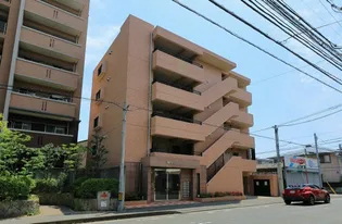 テングッド藤崎の画像