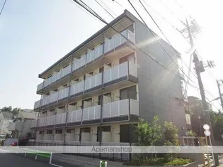ベルファムの画像