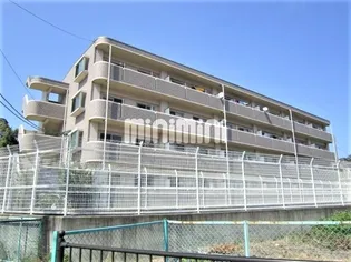 グランメールの画像