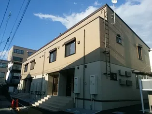 ルピナスの画像