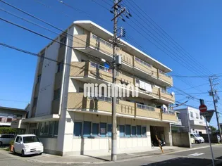 メゾン神の木【4階】の外観