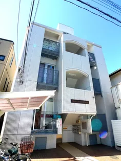 ドームス ステラの画像