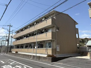 セーリング Ⅴ Aの画像