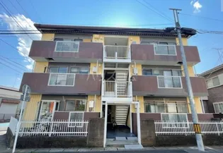 ピュアインハビットの画像