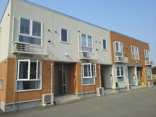 サンフラワー ガーデンの画像