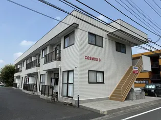 コスモスIIIの画像