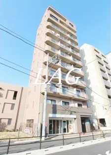 ティアラAの画像