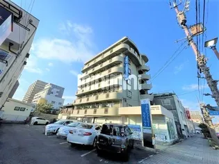 ウェークフォレストブロンドの画像