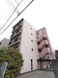 大阪府大阪市平野区平野上町1【マンション】の外観