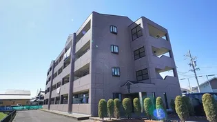 シャングリラの画像