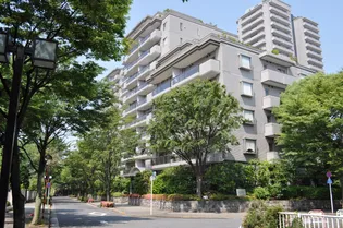 パークハウス多摩川南五番館の画像