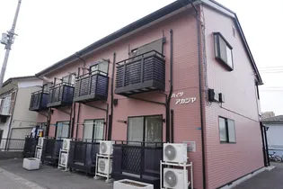 ハイツアカシヤ【1階】の外観