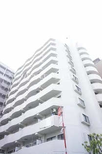 レピドール福田IIの画像
