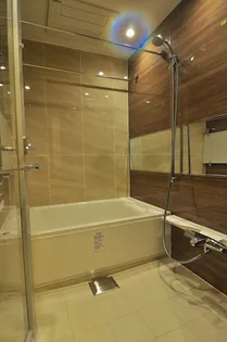 Dマークス西新宿タワー【24階】の風呂