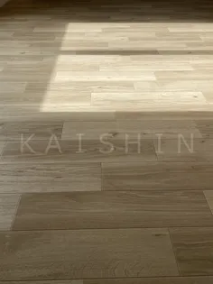 フィカーサ和泉【1階】の外観