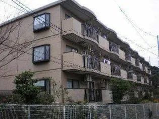 キャロットミノルの画像