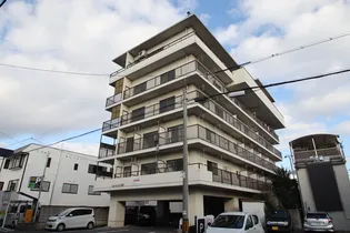 ニューメゾン近藤の画像