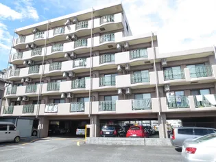 シャルマンの画像