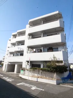 アヴニールの画像