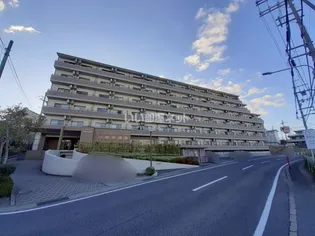 ピュア ドミトリーシミズの画像