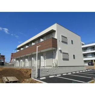 ADORABLE樹の画像