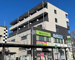 ブラックパインの画像